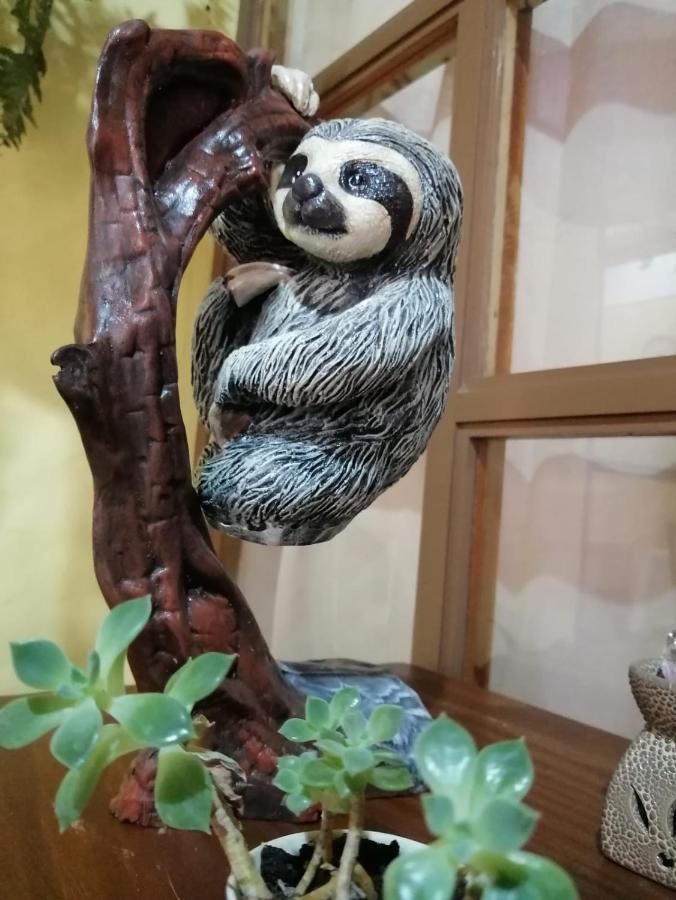 Hotel Santa Fe B&B Monteverde 외부 사진